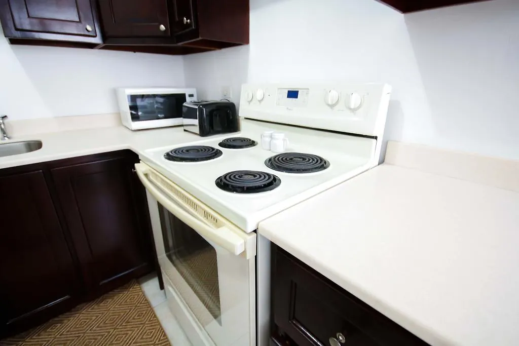 Cattleya'S Kingsway Suite Kingston Jamaica